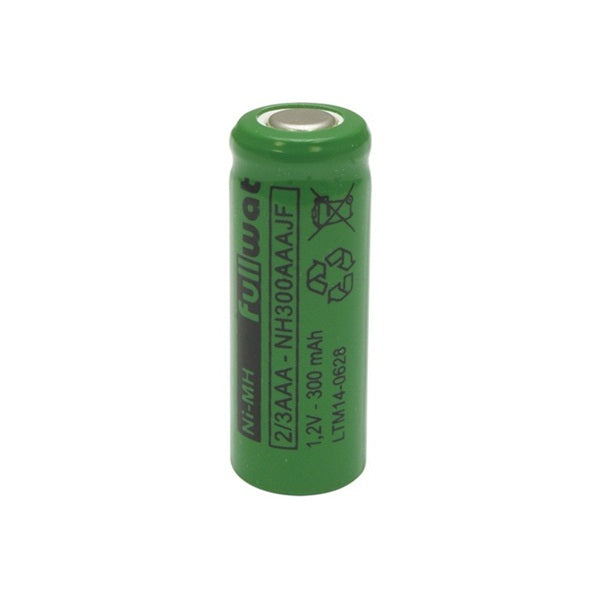 AAA-2-3-NIMH-350_1.JPG