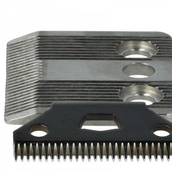 LX888102449_3.jpg