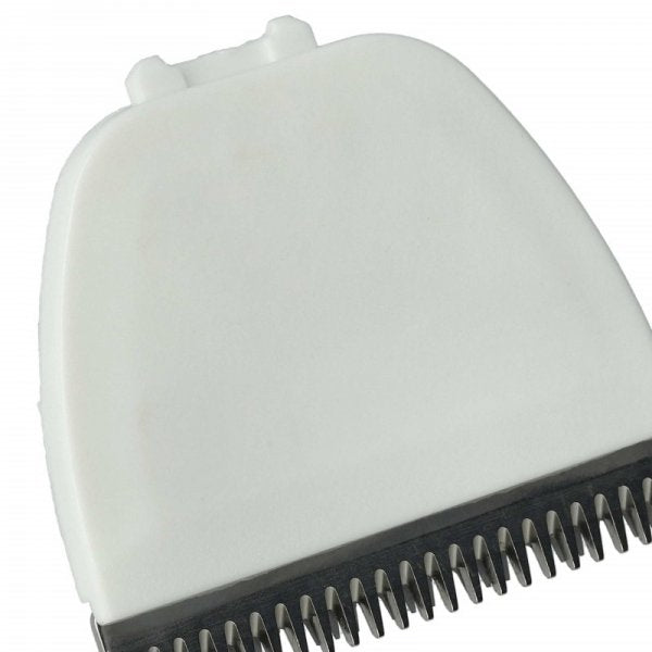 LX888102551_2.jpg