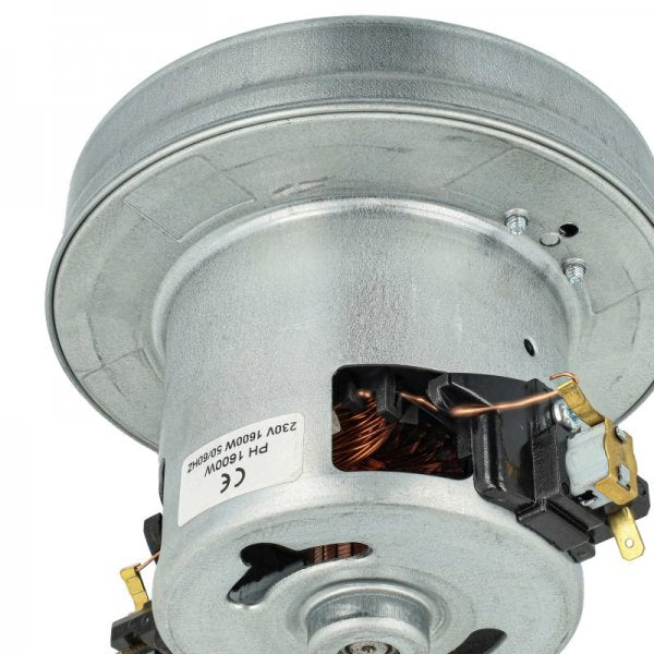 LX889004664_4.jpg