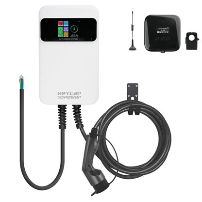 EVC-SQ1-DLB-HEY_1.jpg
