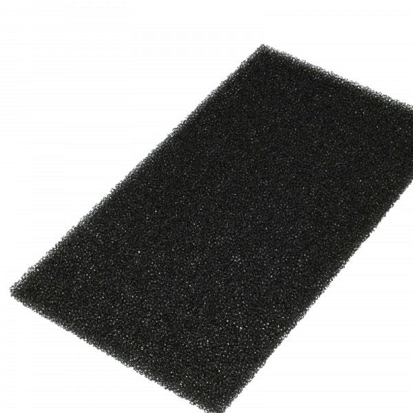LX888101161_3.jpg