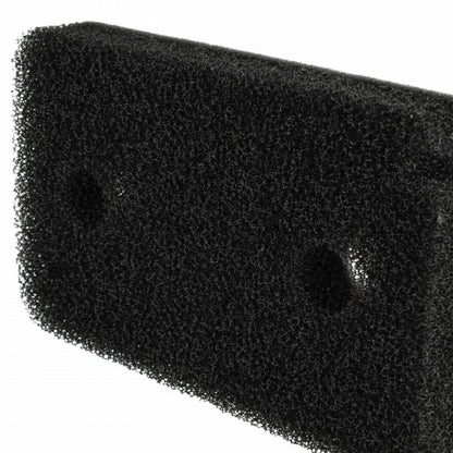 LX888101167_2.jpg