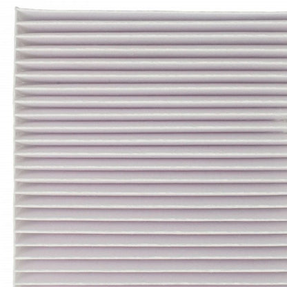 LX888101185_2.jpg