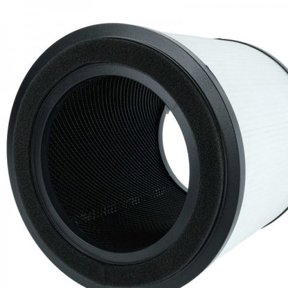 LX889004459_3.jpg