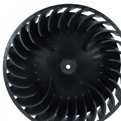 LX889004857_3.jpg