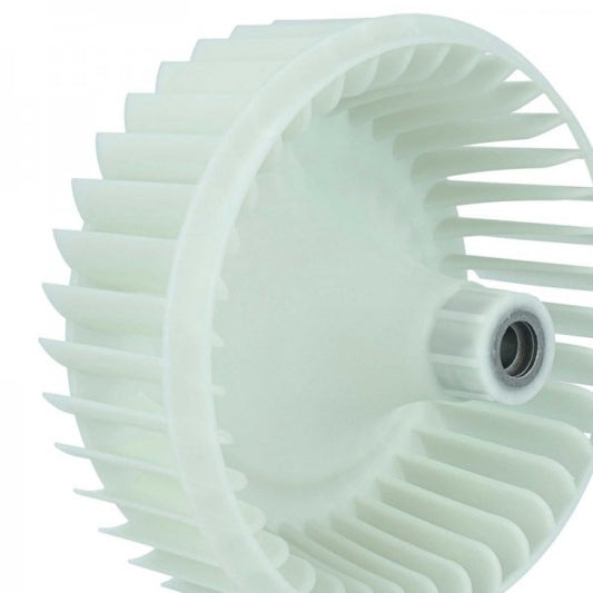 LX889004858_1.jpg