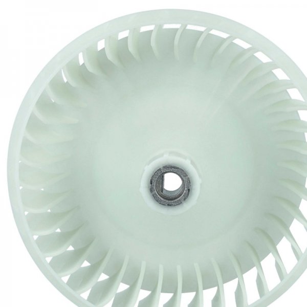 LX889004858_4.jpg