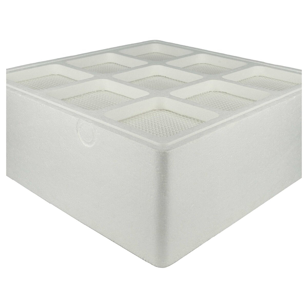 LX889005177_5.jpg