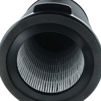 LX889006139_5.jpg